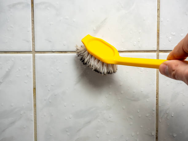 Best Commercial Mold Remediation in Bellevue, MI